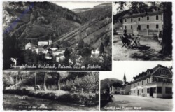 ak189386 Waldbach, Multiansicht