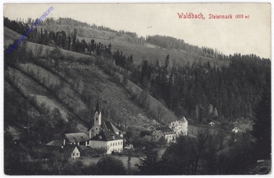ak189387 Waldbach, Ortsansicht
