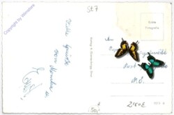 Zeltweg, Ortsansicht