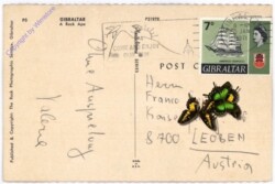 ak189499a Gibraltar, A Rock Ape
