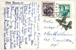 Aigen-Schlägl, Donauschlinge