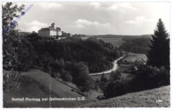 Alberndorf, Schloß Riedegg