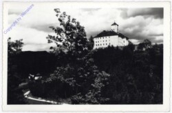 Alberndorf, Schloß Riedegg