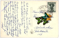 Bad Hall, gegen d. Taunstein