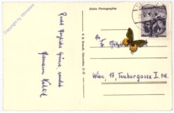 Bad Hall, Multiansicht