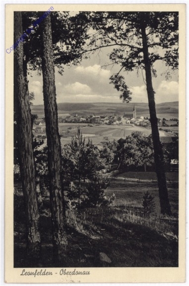 ak189578 Bad Leonfelden, Ortsansicht