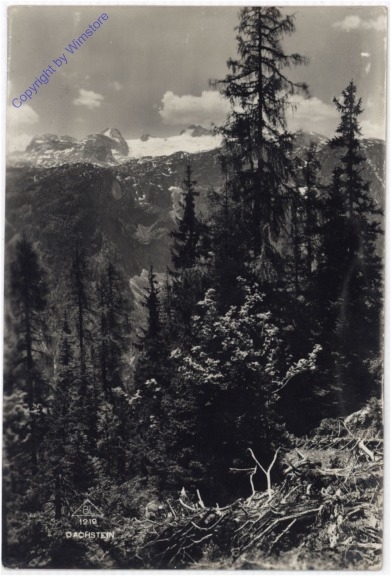 Dachstein, Ansicht