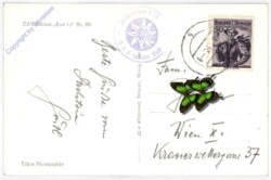 Dachstein, Adamek-Hütte