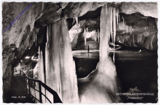 Dachstein-Rieseneishöhle, Tristandom