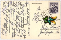 Gmunden, Multiansicht