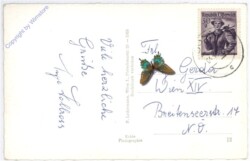 Gosau, mit Gosaukamm