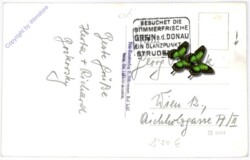 Grein an der Donau, Fliegeraufnahme