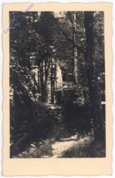 Haibach ob der Donau, Ruine Stauff