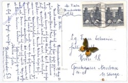 Hinterstoder, Salzsteigjoch