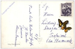 ak189969a Linz an der Donau, Pöstlingberg