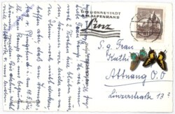 Linz an der Donau, Ortsansicht