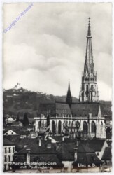 Linz an der Donau, Maria Empfängnis Dom