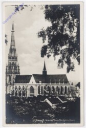 Linz an der Donau, Maria Empfängnis Dom
