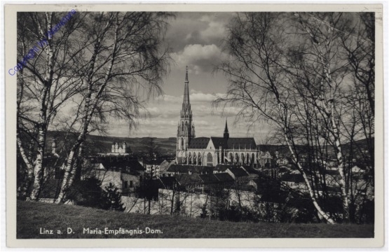 Linz an der Donau, Maria Empfängnis Dom
