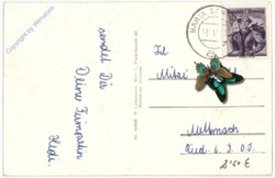 Maria Schmolln, Ortsansicht