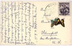 ak190087a Mondsee, Ortsansicht