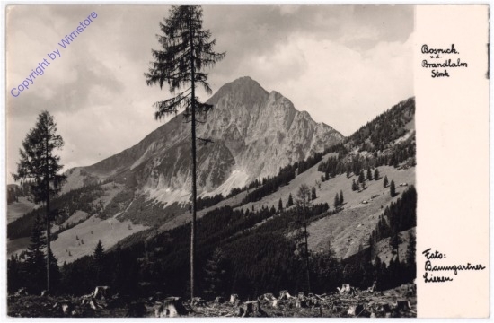ak190142 Spital am Pyhrn, v.d. Brandlalm
