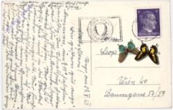 ak190173a Steyr, Ortsansicht