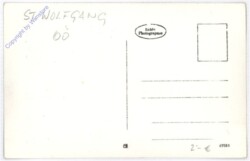 ak190237a St. Wolfgang, Ortsansicht