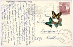 St. Wolfgang, Ortsansicht