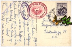 St. Wolfgang, Schafbergspitze