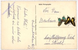 St. Wolfgang, Multiansicht