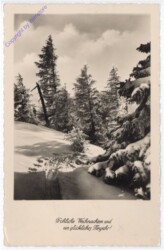 Winterwald