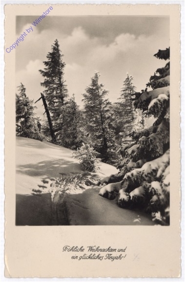 Winterwald