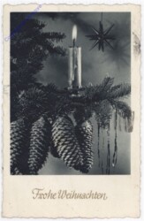 Kerze am Ast mit Zapfen