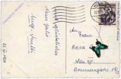 Kerze am Ast mit Zapfen