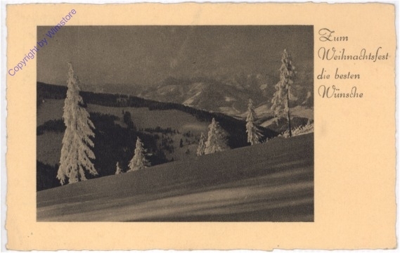 Winterwald