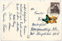 Engerl geht mit Geschenken und Lämmchen in das Dorf