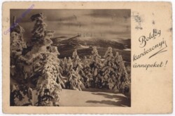 Verschneiter Wald