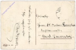 Tannenzweig mit Stechpalme