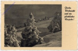 Verschneiter Wald