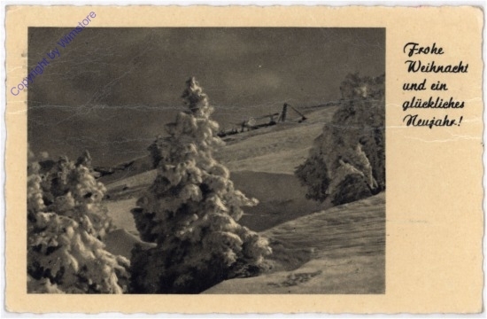 Verschneiter Wald