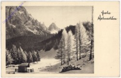 Verschneiter Wald