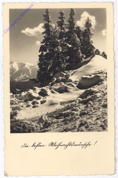 Verschneiter Wald