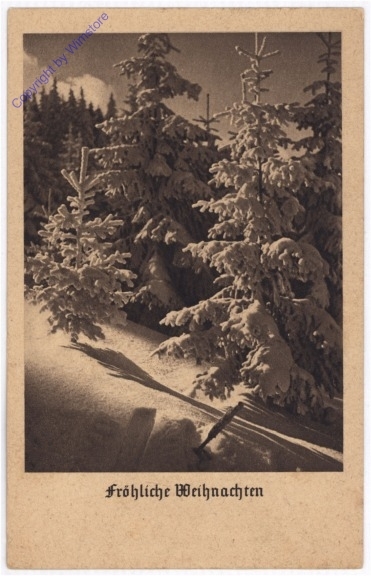 Verschneiter Wald