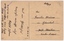 Verschneiter Wald