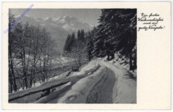 Verschneiter Weg