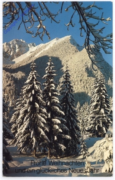 Verschneiter Wald