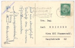 Dame mit Kerze unterm Christbaum