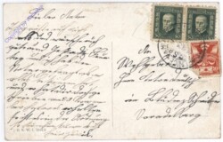 Verschneite Parklandschaft