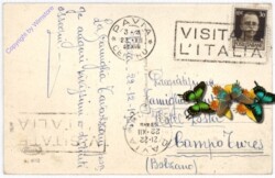 Zurückkehrende Schafe